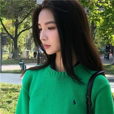 汉堡高地海报