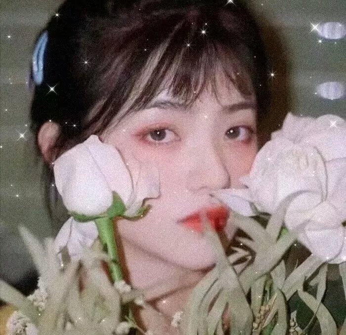 罗斯福海报